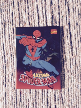 Infinty Crates April 2015 Spiderman Magnet